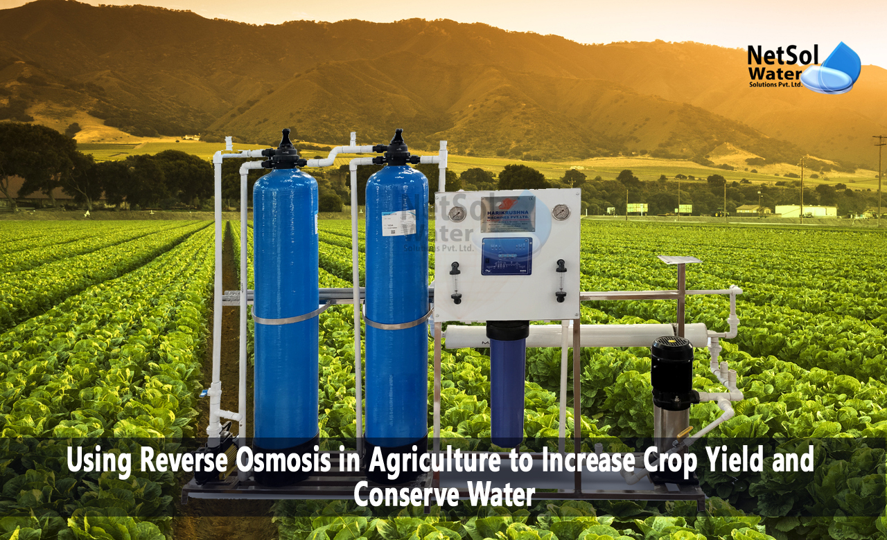Using RO in Agriculture to Increase Crop Yield and Conserve Water