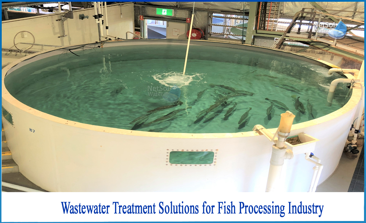 waste water treatment in fish industry, wastewater treatment, sewage water treatment, what is wastewater, wwtp full form