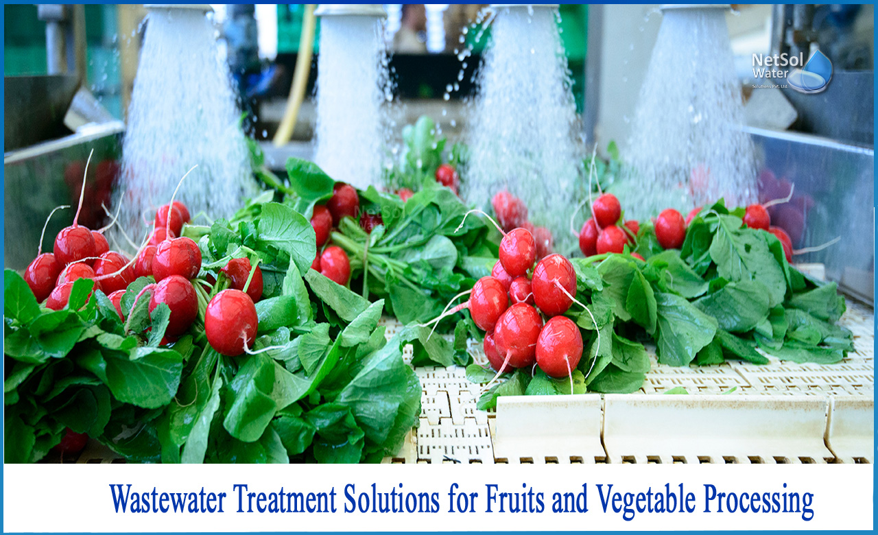 fruit and vegetable wastewater, what is wastewater, what is sewage treatment