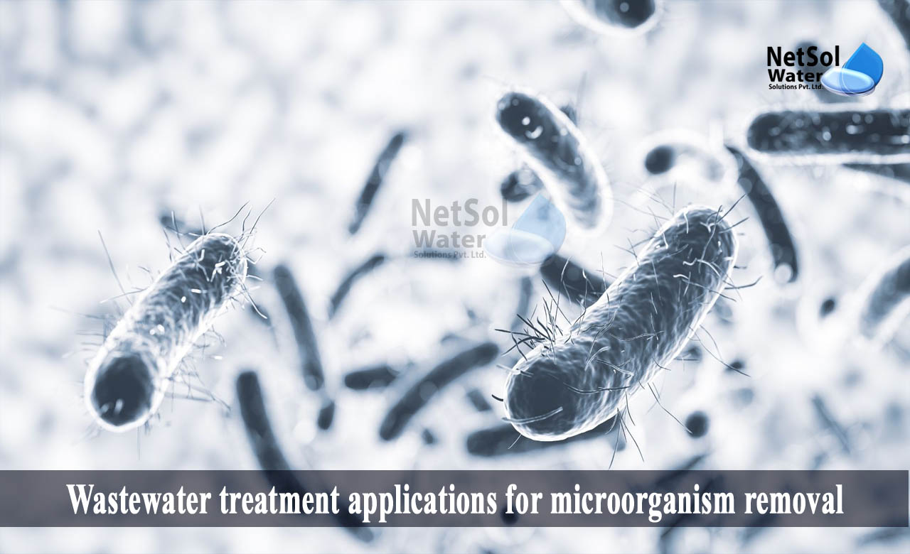 role of microorganisms in wastewater treatment, name the microorganism used for sewage treatment, removal of microorganisms from the sewage water
