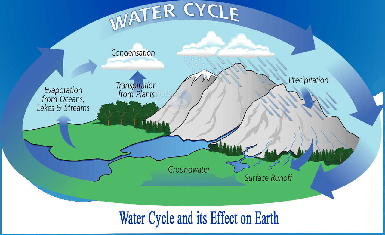 What is Water Cycle and What its Effect on Earth - Netsol Water