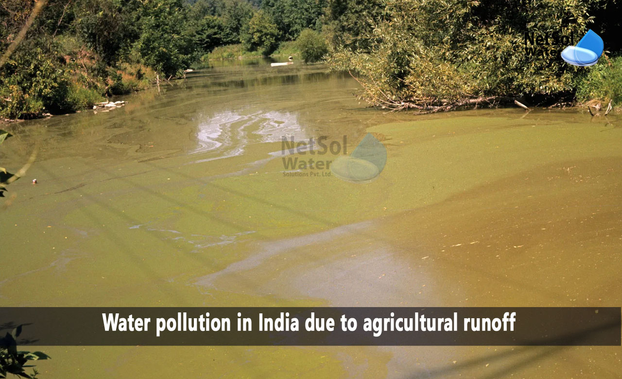 Which agricultural reasons lead to water pollution in India, Water pollution in India due to industrial wastewater and agricultural runoff