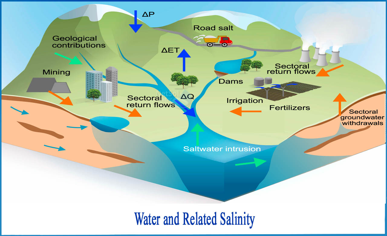 salinity of water, salinity of freshwater, effects of salinity