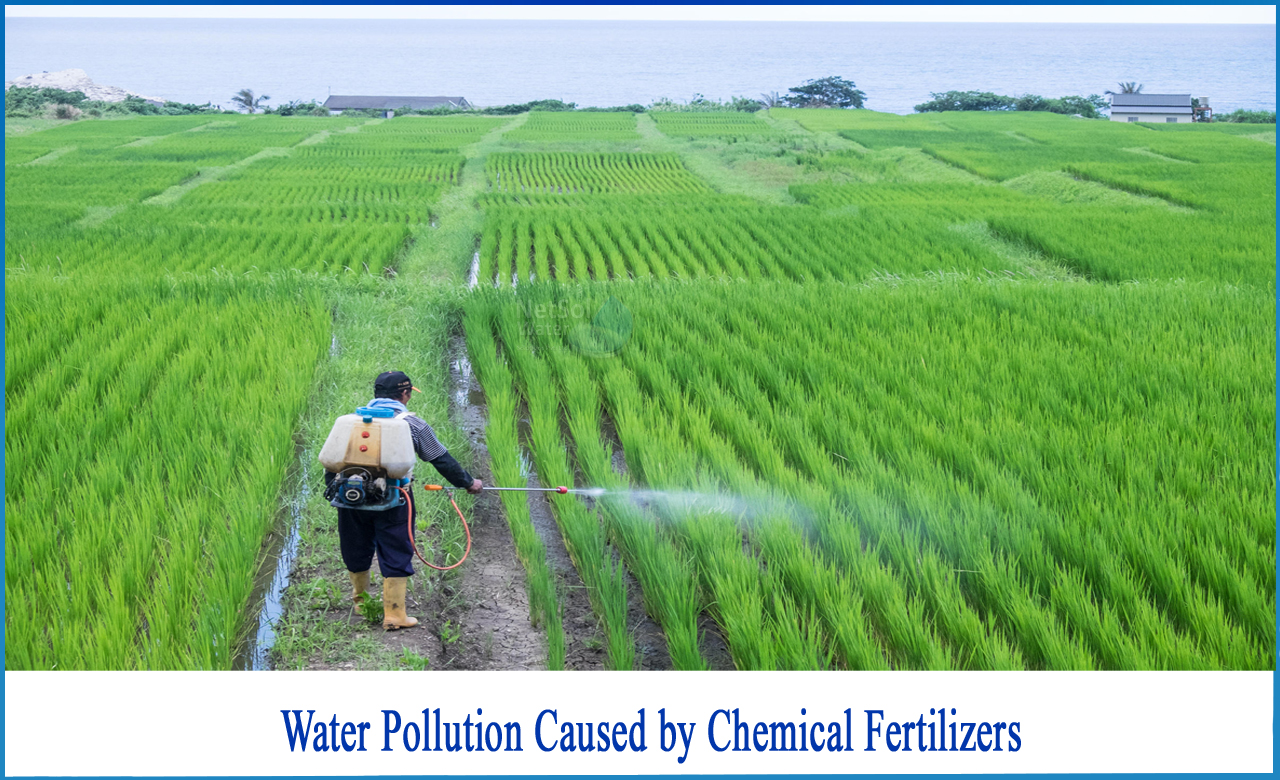 how do chemical fertilizers cause pollution, harmful effects of fertilizers on environment, harmful effects of fertilizers on humans