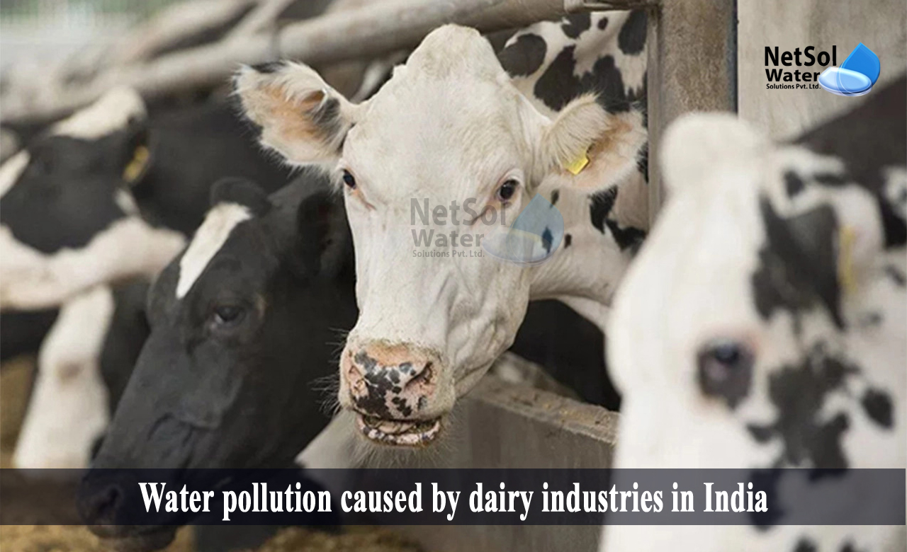 dairy industry pollution, effluent treatment plant in dairy industry, Water pollution caused by dairy industries in India