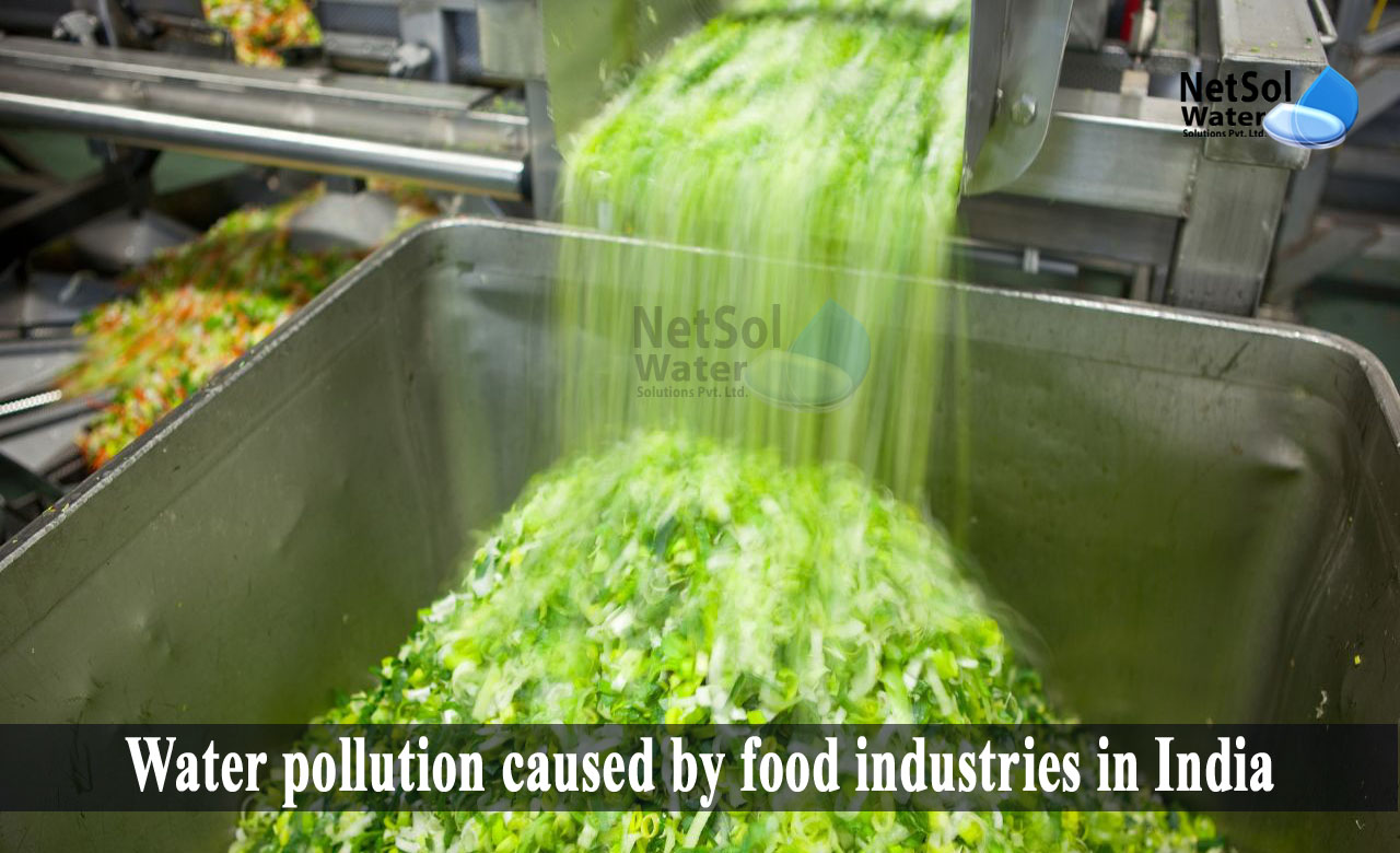 water pollution caused by food industry, how does water pollution affect food production, pollution control in food industry