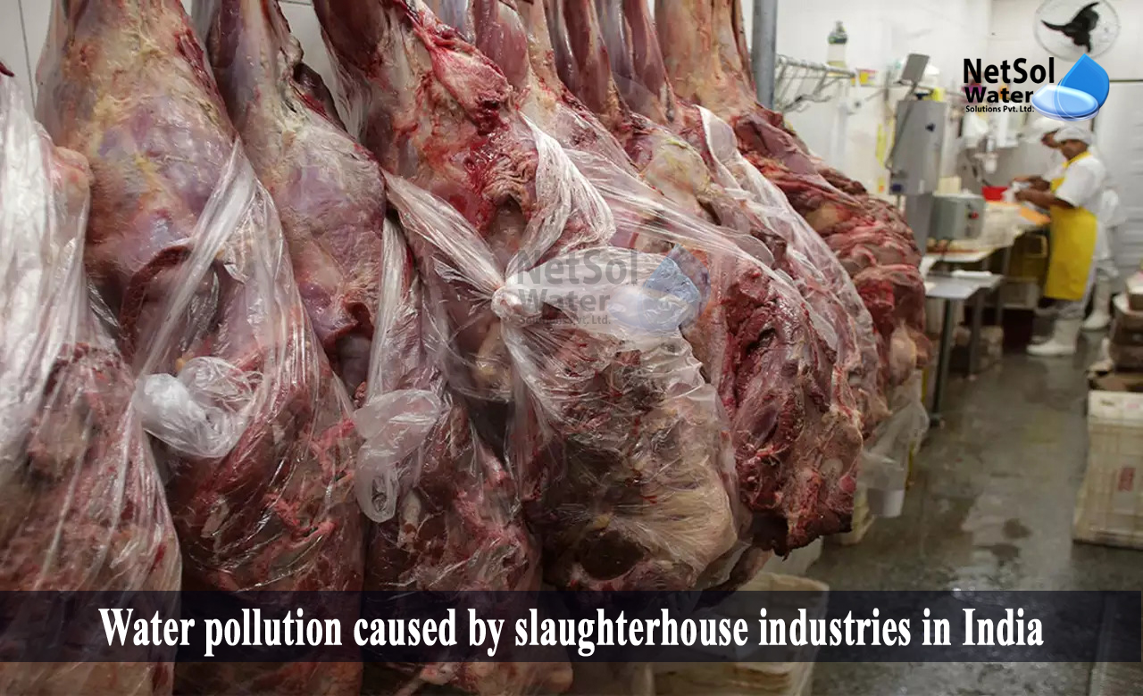 slaughterhouse wastewater treatment, cpcb guidelines for slaughterhouse, Water pollution caused by slaughterhouse industries in India