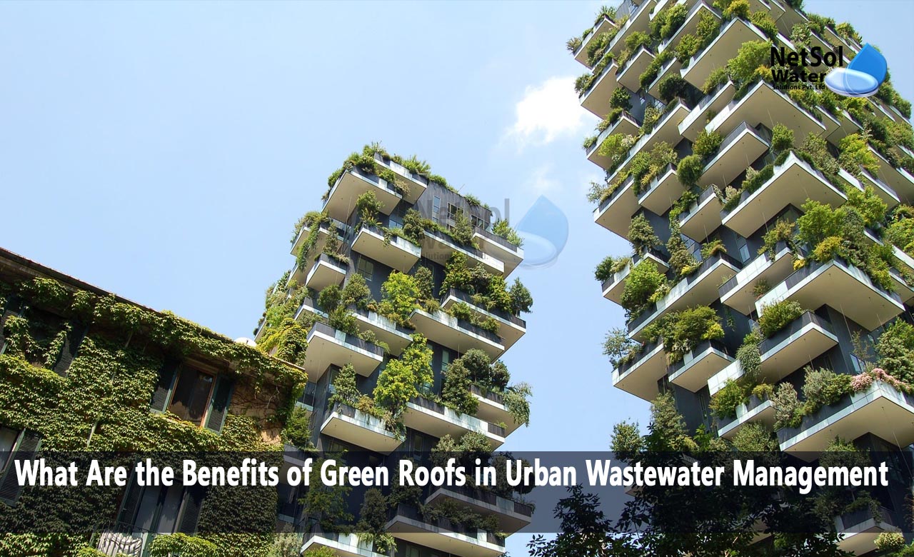 Benefits of Green Roofs in Urban Wastewater Management,  the role of green roofs in urban water energy food ecosystem