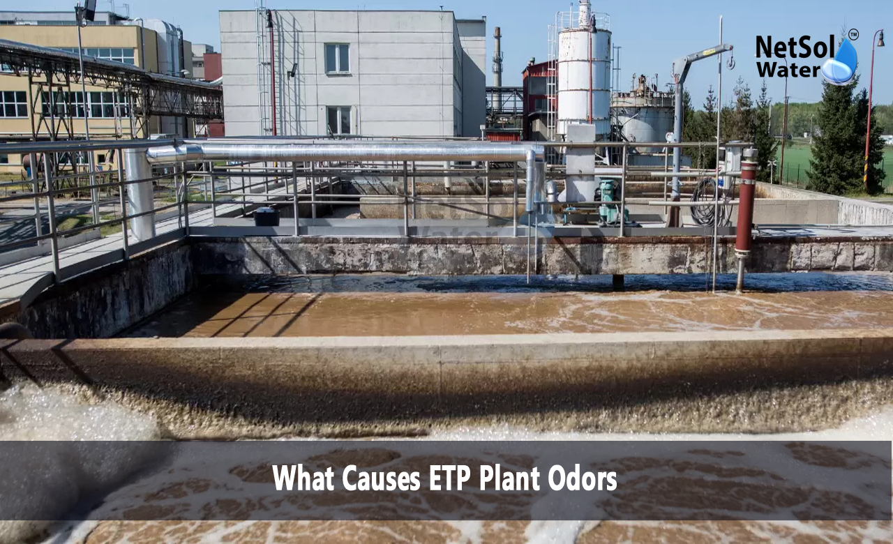 Why do wastewater treatment plants smell, What is the main cause of most odors in wastewater systems, How do you control odor in wastewater treatment