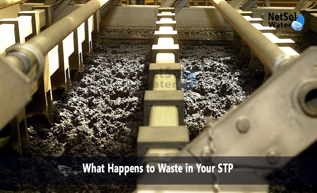 What happens to our sewage waste, What happens to the leftover sewage sludge, What is the solid waste after sewage treatment process