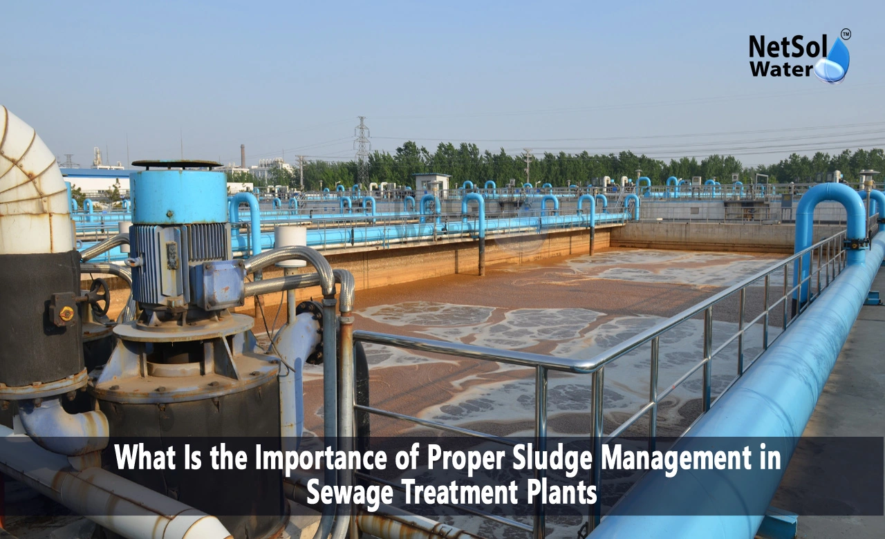 Why is sludge management important, What is the role of sludge in a sewage treatment plant, How do you reduce sludge in STP
