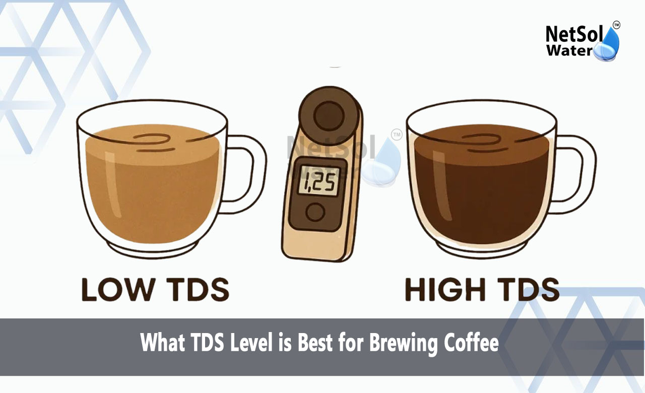 What is the ideal TDS for coffee, Which TDS meter is best for coffee, What is the 15 15 15 rule for coffee