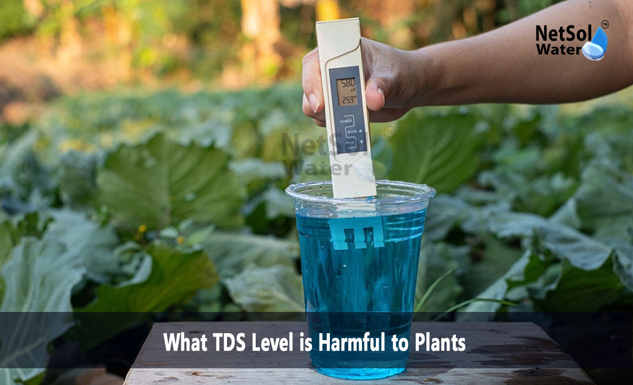 How much TDS water is good for plants, Does TDS affect plants, What is a harmful TDS level