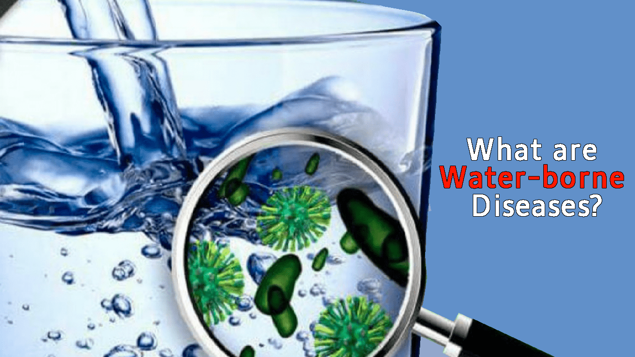 water borne diseases, water impurity, water pollution, impacts of water pollution