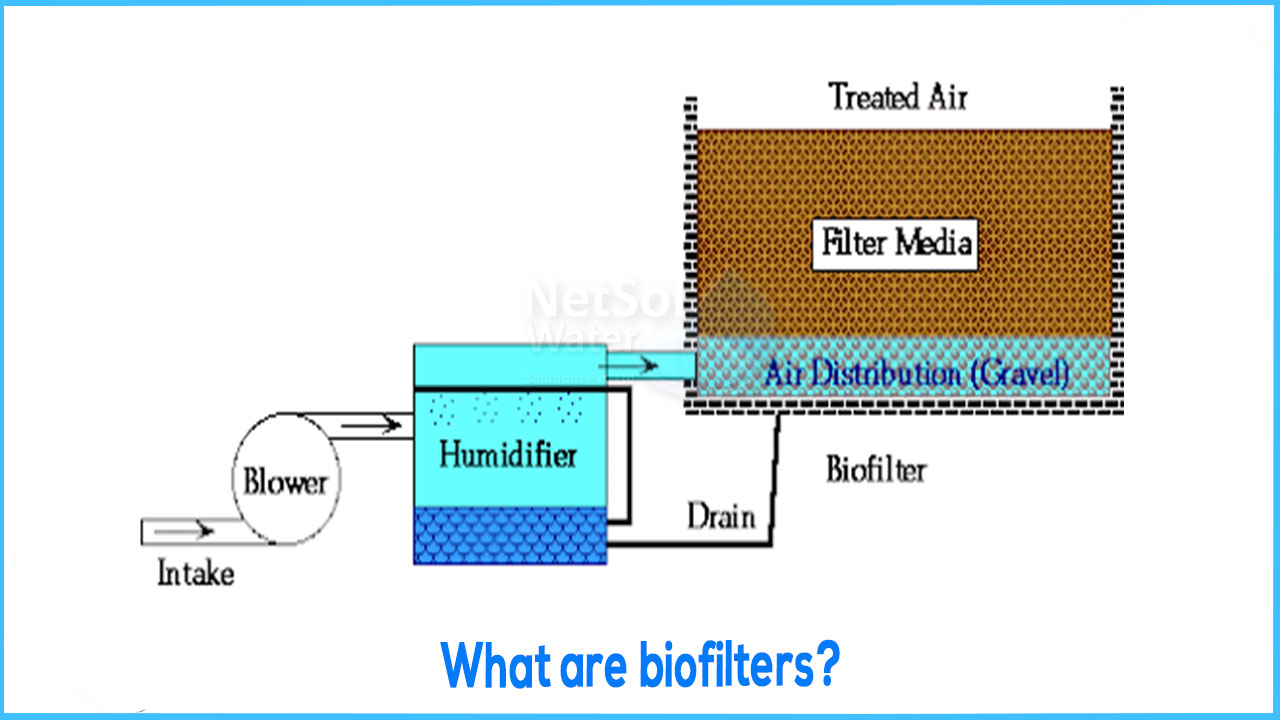 What are biofilters