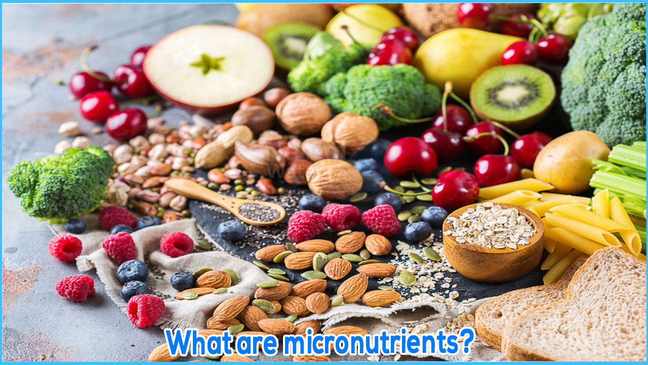 What are micro nutrients?, Micronutrients Types, benefits, Functions