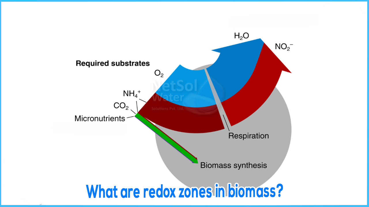 What are redox zones in biomass?