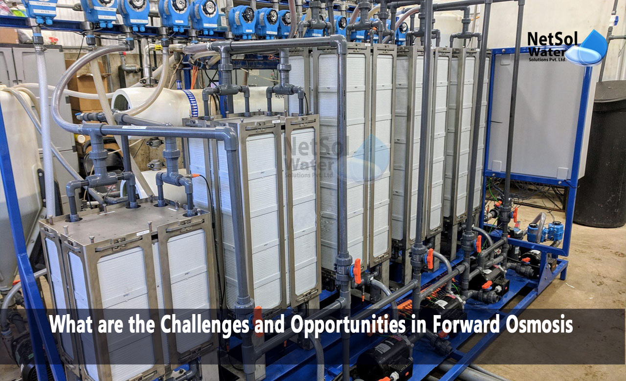 What are the Challenges and Opportunities in Forward Osmosis