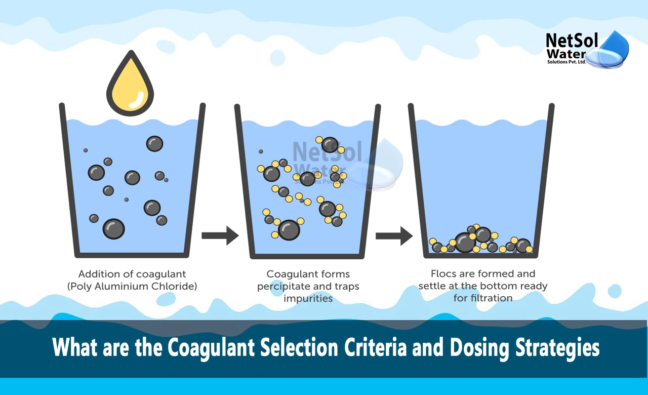 How do I choose a coagulant, What is coagulant dosing, What are the Coagulant Selection Criteria and Dosing Strategies