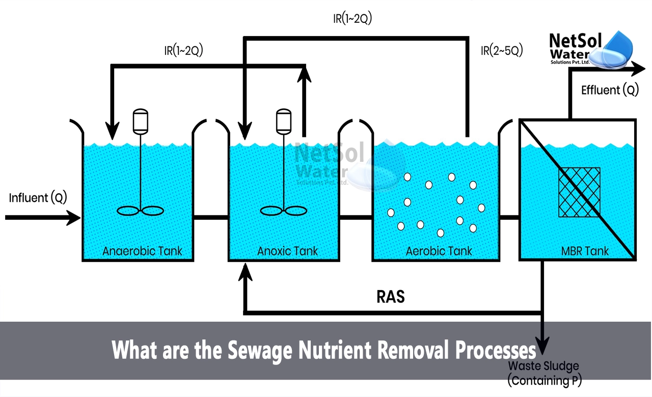 What is the process of biological nutrient removal in wastewater, What are the nutrient removal technologies from wastewater, Sewage Nutrient Removal Processes
