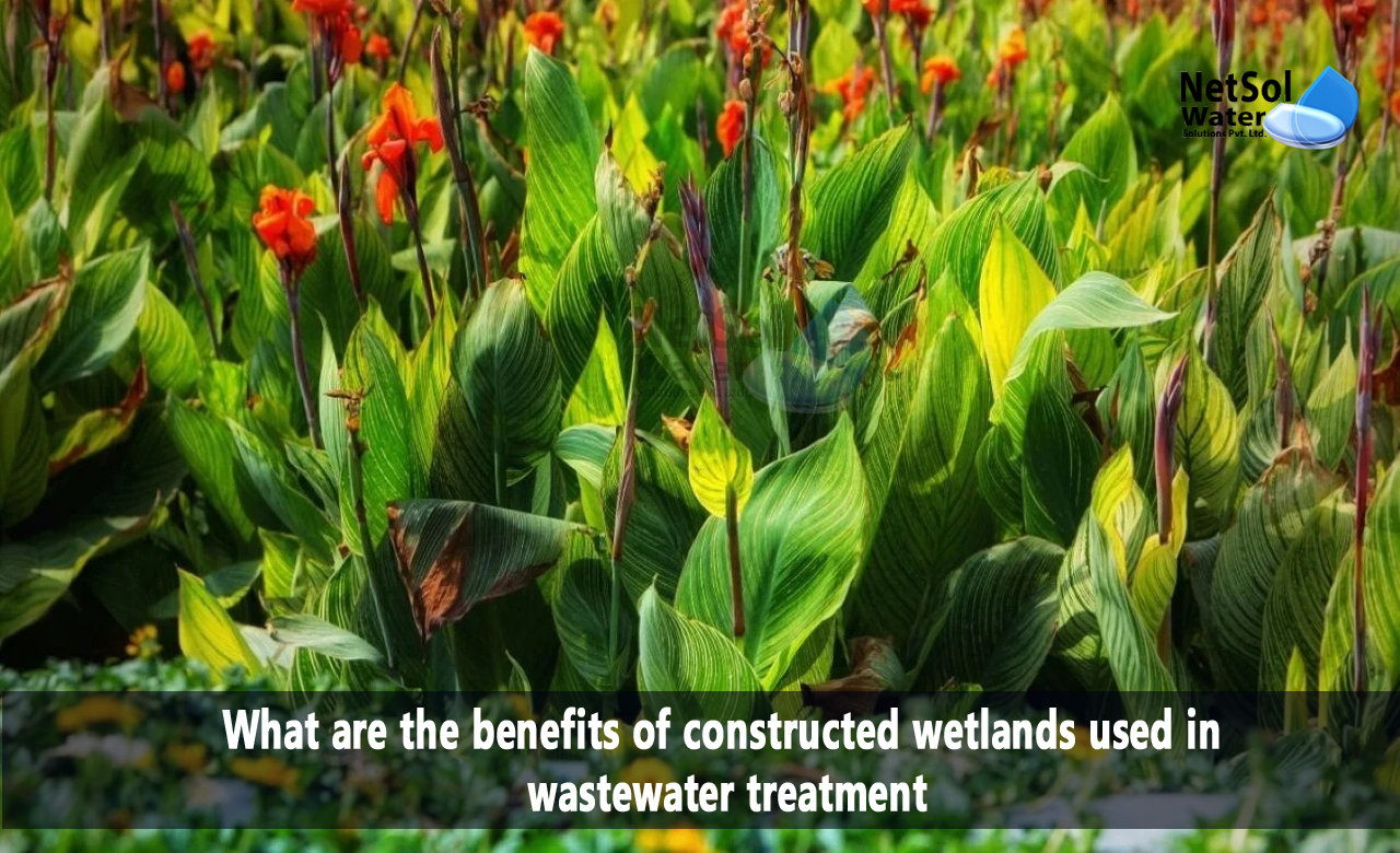benefits of constructed wetlands in wastewater treatment, Salient features of constructed wetlands