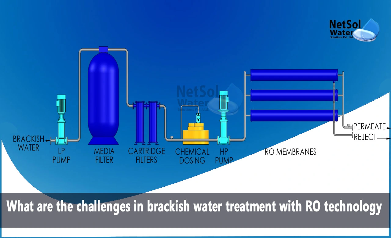 application of reverse osmosis, ro water advantages and disadvantages, importance of reverse osmosis