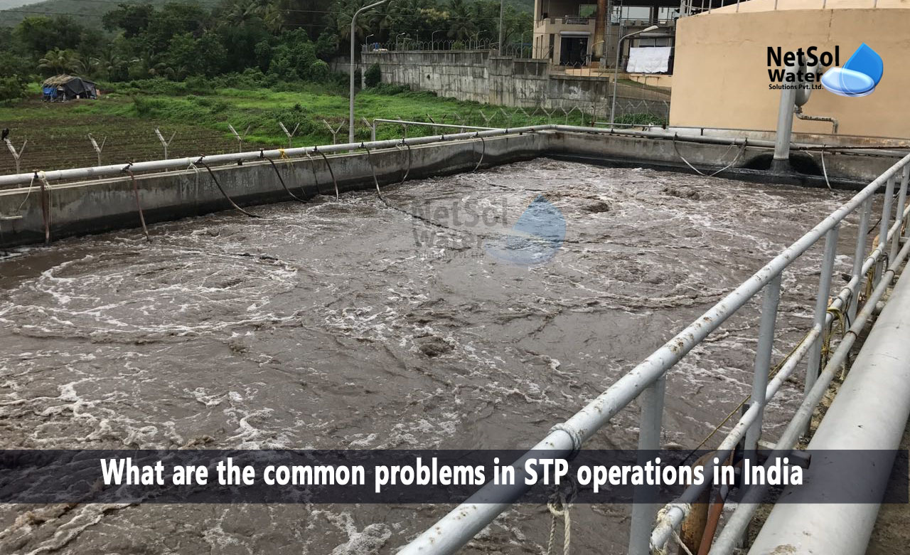 What are the common problems in STP operations in India