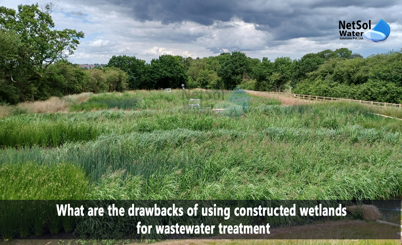 drawbacks of constructed wetlands, Constructed Wetlands benefits