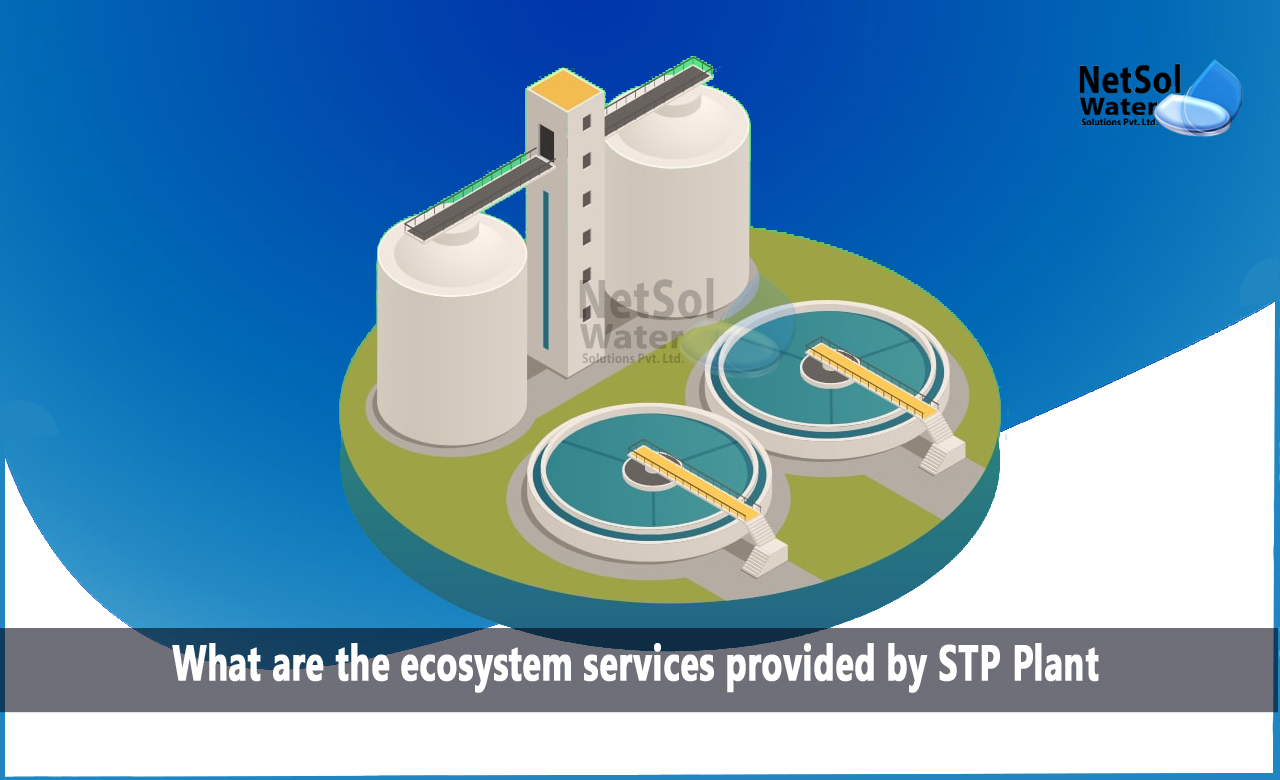 Considering Ecosystem Services in Wastewater Management, Ecosystem Services Provided by STPs
