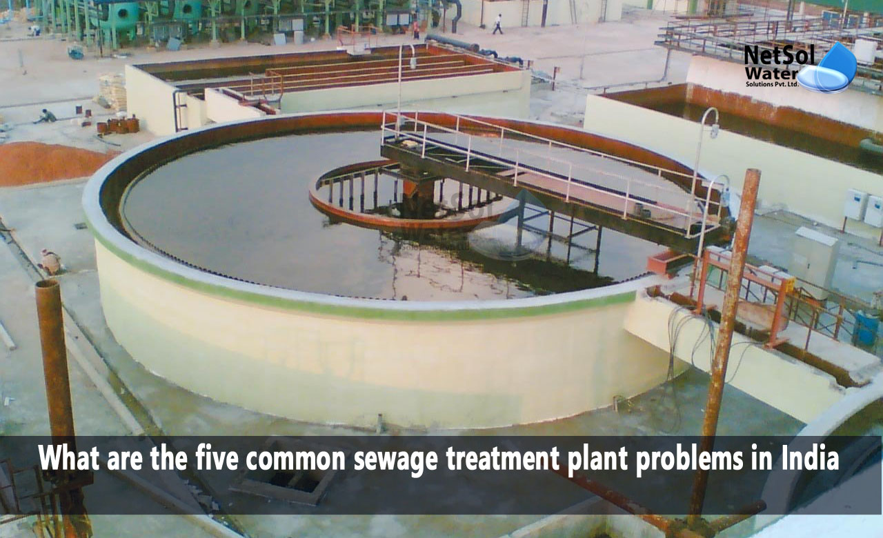 What are the five common STP Plant problems in India