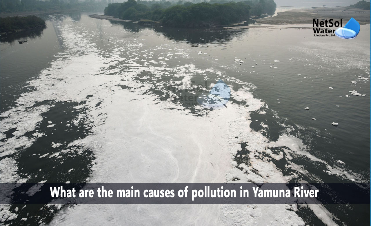 What are the main causes of pollution in Yamuna River