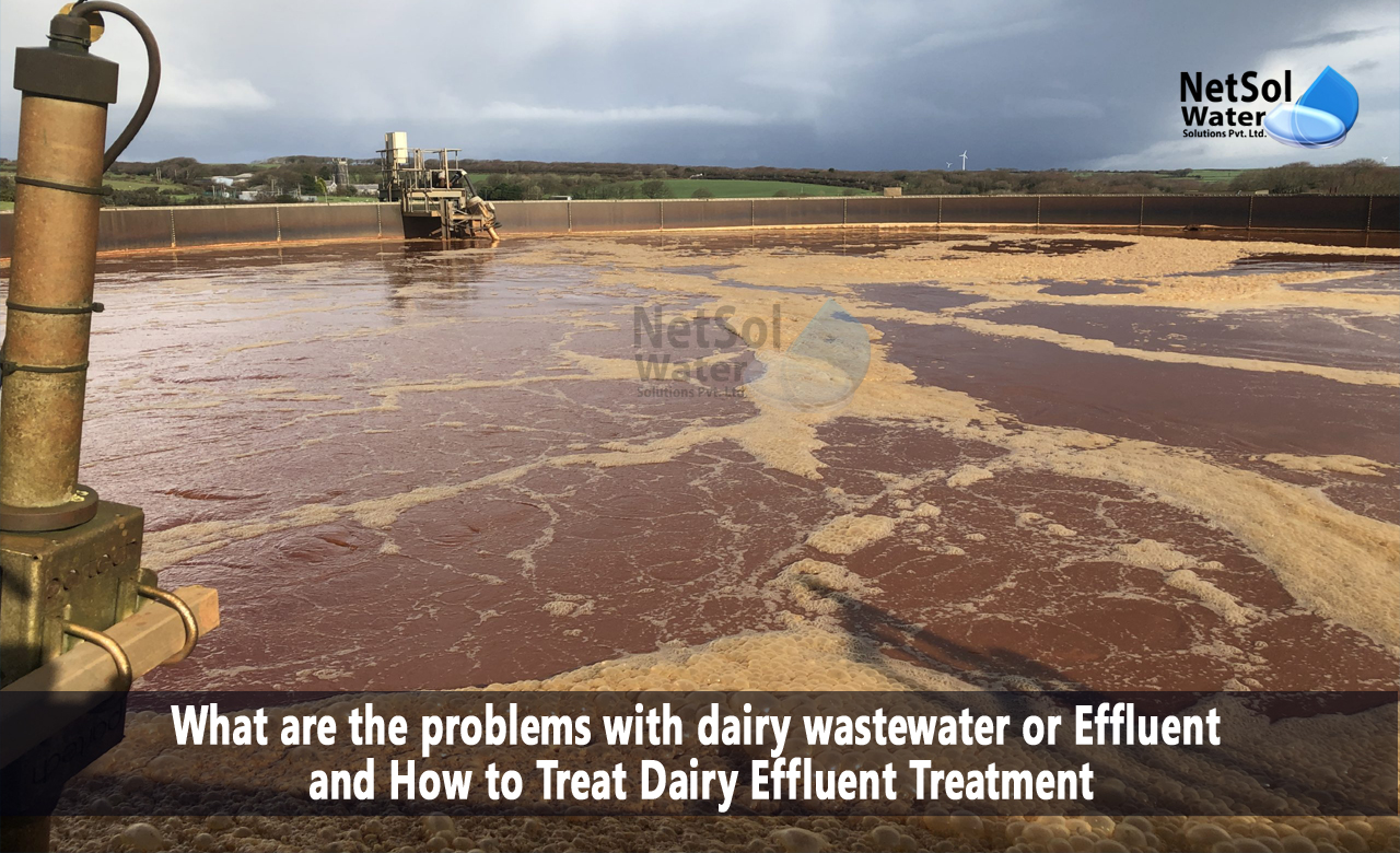 dairy wastewater treatment, treatment scheme for wastewater of dairy, dairy wastewater characteristics