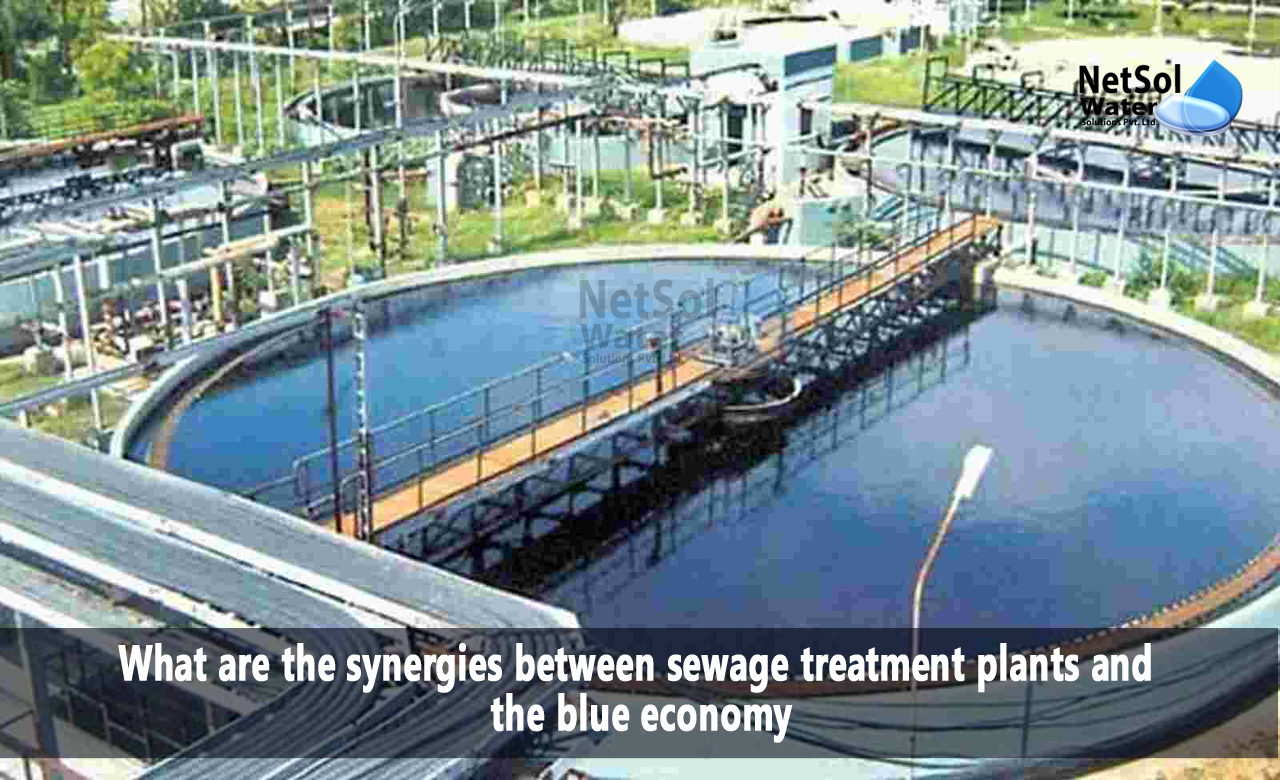 What are the synergies between STP Plants and the blue economy, The Role of Sewage Treatment Plants