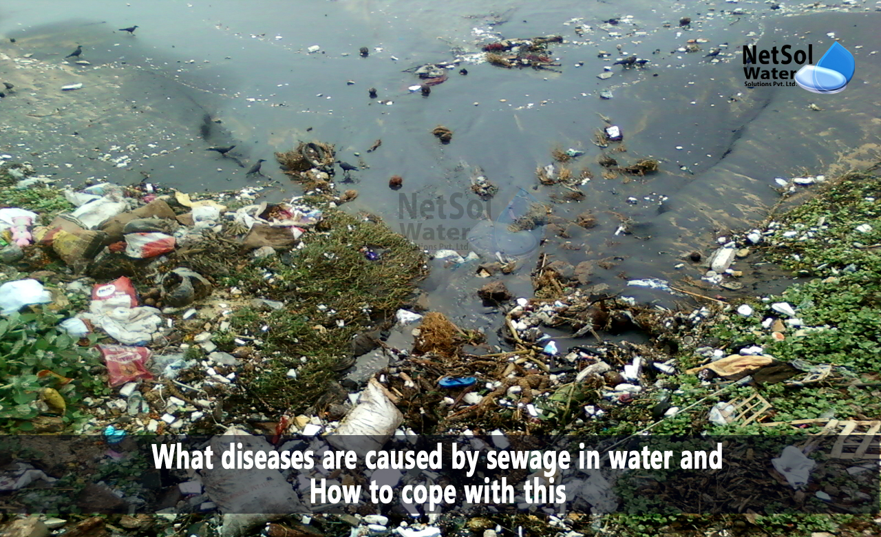what to do if exposed to raw sewage, what are 10 diseases caused by polluted water, What diseases are caused by sewage in water