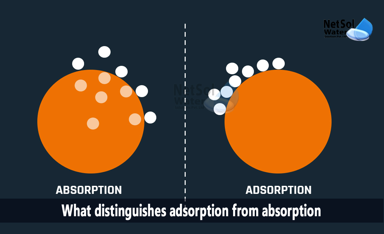 distinguish between adsorption and absorption, what is adsorption, what is absorption