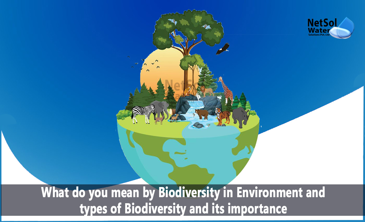 What do you mean by biodiversity in environment, What are the different types of Biodiversity, What is the importance of biodiversity