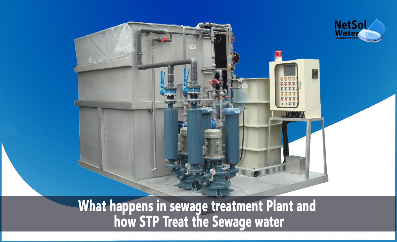how STP Treat the Sewage water, What happens in STP Plant