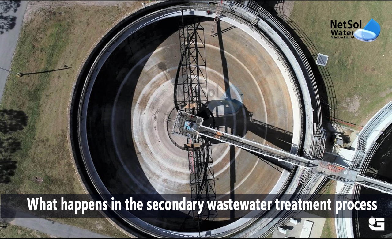 Biological Processes that help in secondary wastewater treatment, What happens in the secondary wastewater treatment process