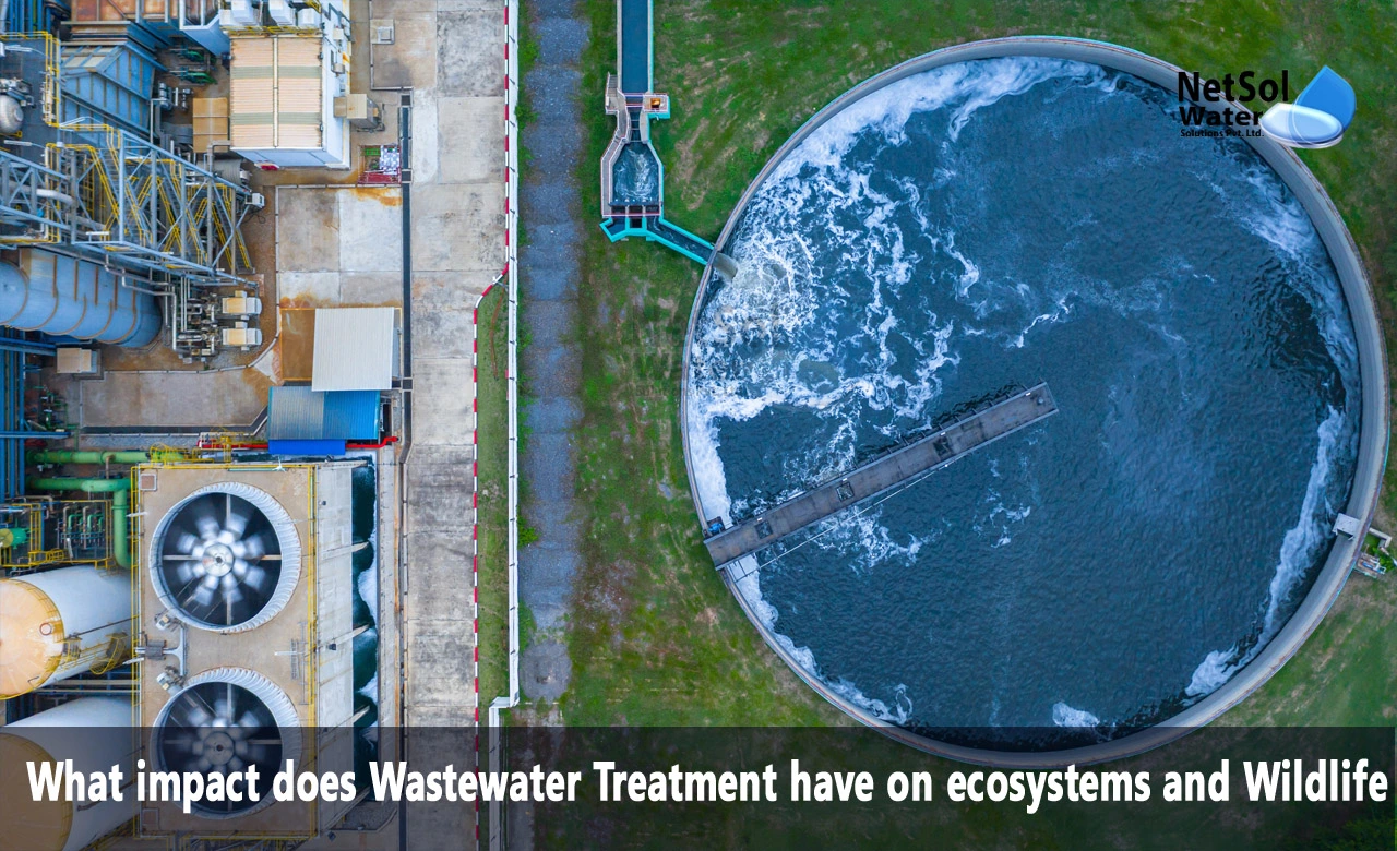 what is wastewater, what is the importance of sewage treatment, effects of wastewater on the environment