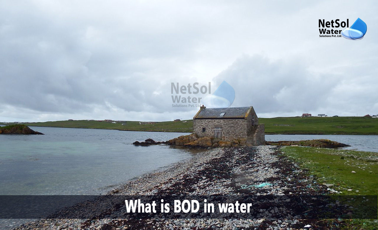 how is bod measured, difference between bod and cod, what is biochemical oxygen demand