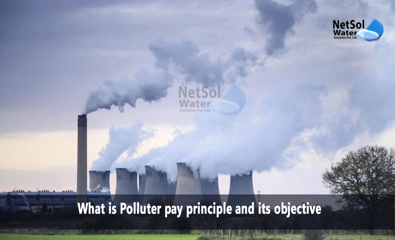 importance of polluter pays principle, polluter pays principle advantages and disadvantages