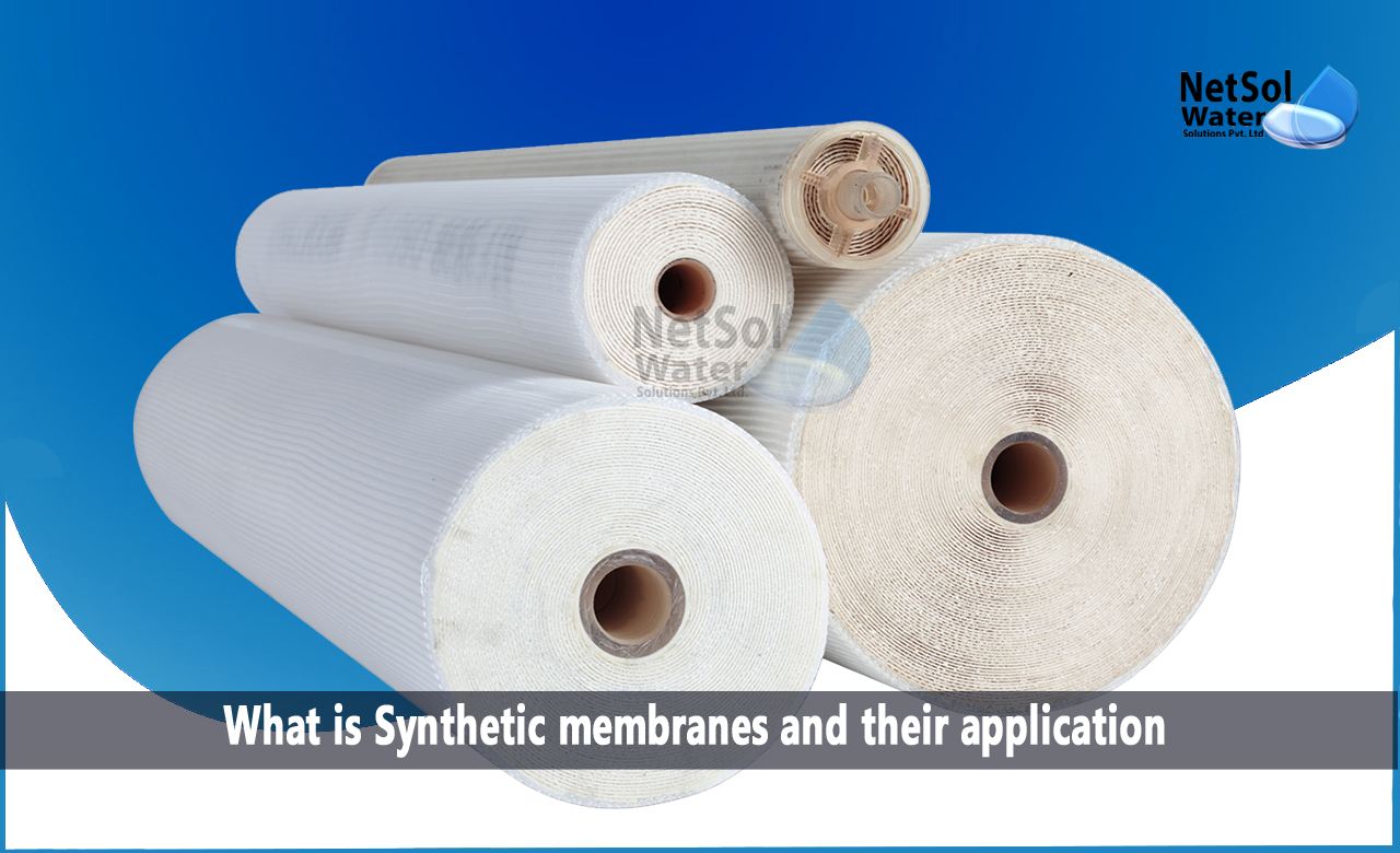 Structure of Synthetic Membranes, Working Principles of Synthetic Membranes, Common Applications of Synthetic Membranes
