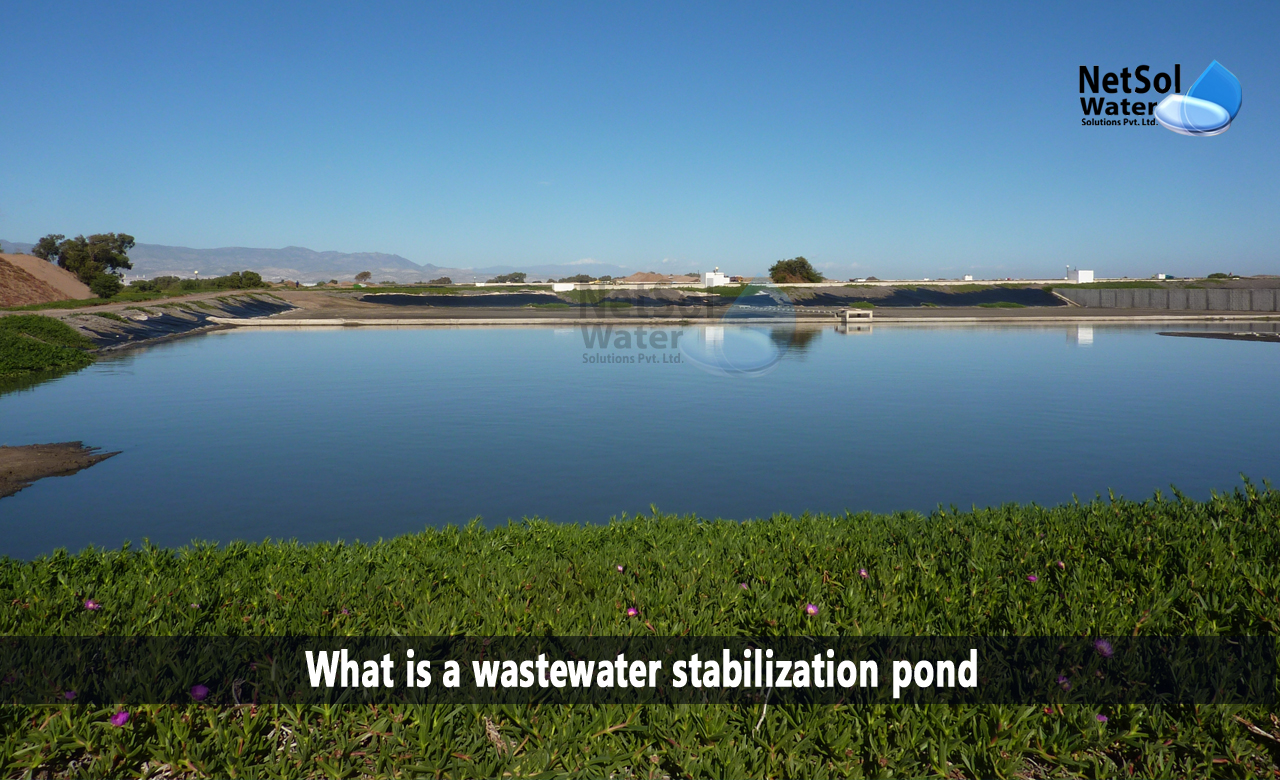Use of wastewater stabilization ponds, Working of Wastewater Stabilization ponds, Purpose of anaerobic, aerobic and facultative ponds