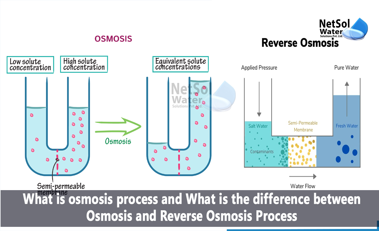 what is the difference between osmosis and reverse osmosis, what is osmosis and reverse osmosis, difference between osmosis and diffusion