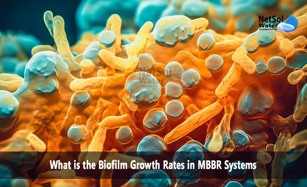 What is the growth rate of biofilm, What is the density of MBBR biofilm, What is the loading rate of BOD in MBBR