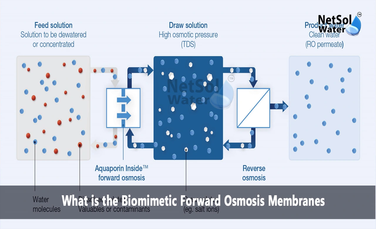 What is a biomimetic membrane, Which material is used for RO membrane synthesis, What is forward osmosis membrane