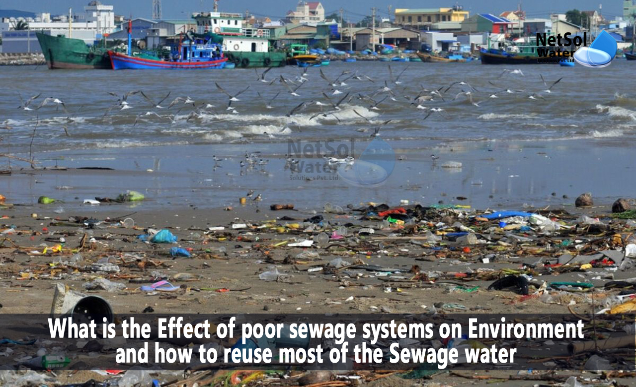 What is the effect of poor sewage system on environment, effects of sewage pollution on the environment, effects of sewage on human health