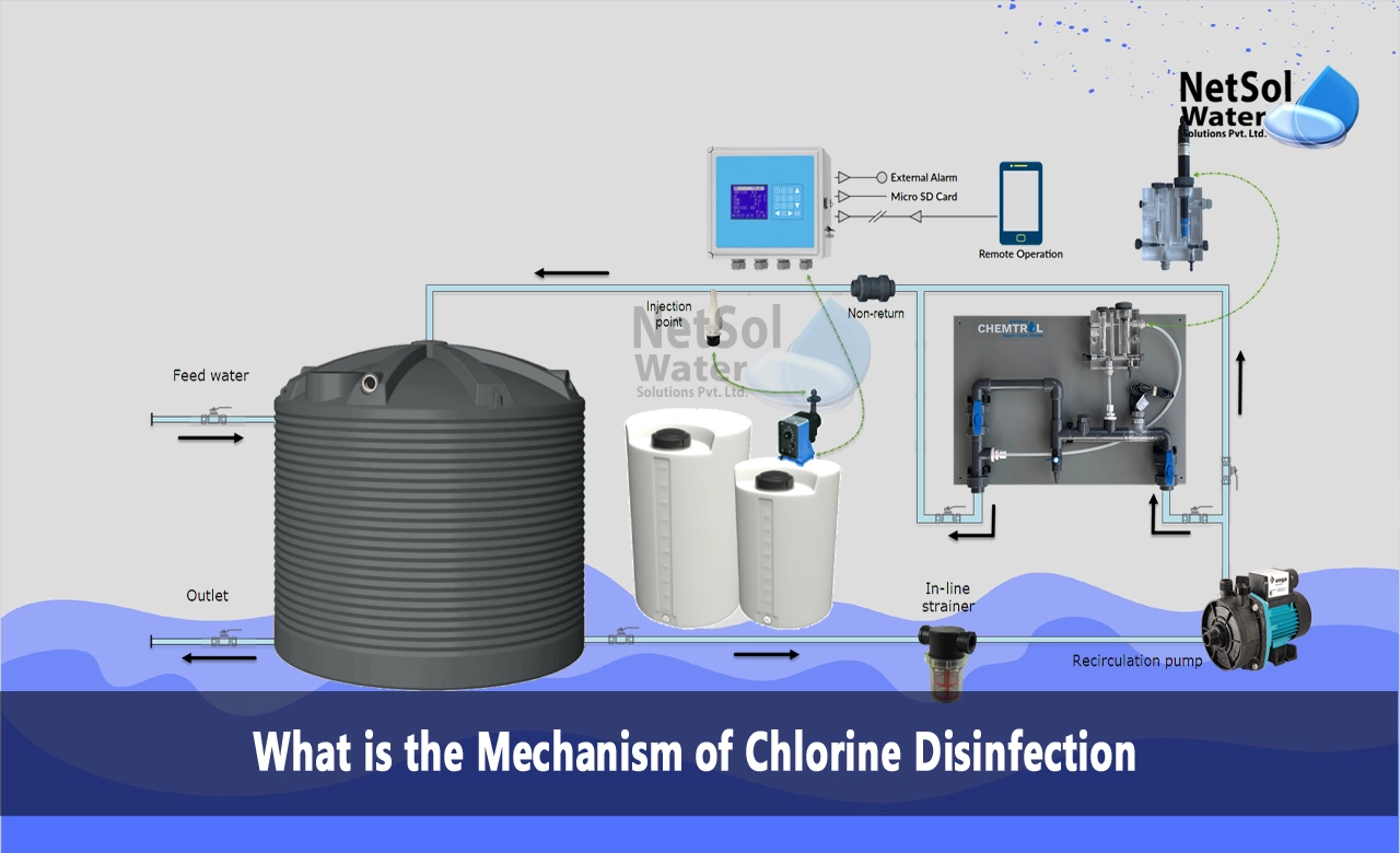 What is the process of chlorine disinfection, What is chlorination mechanism in water treatment, Chlorine Disinfection of Sewage Effluent