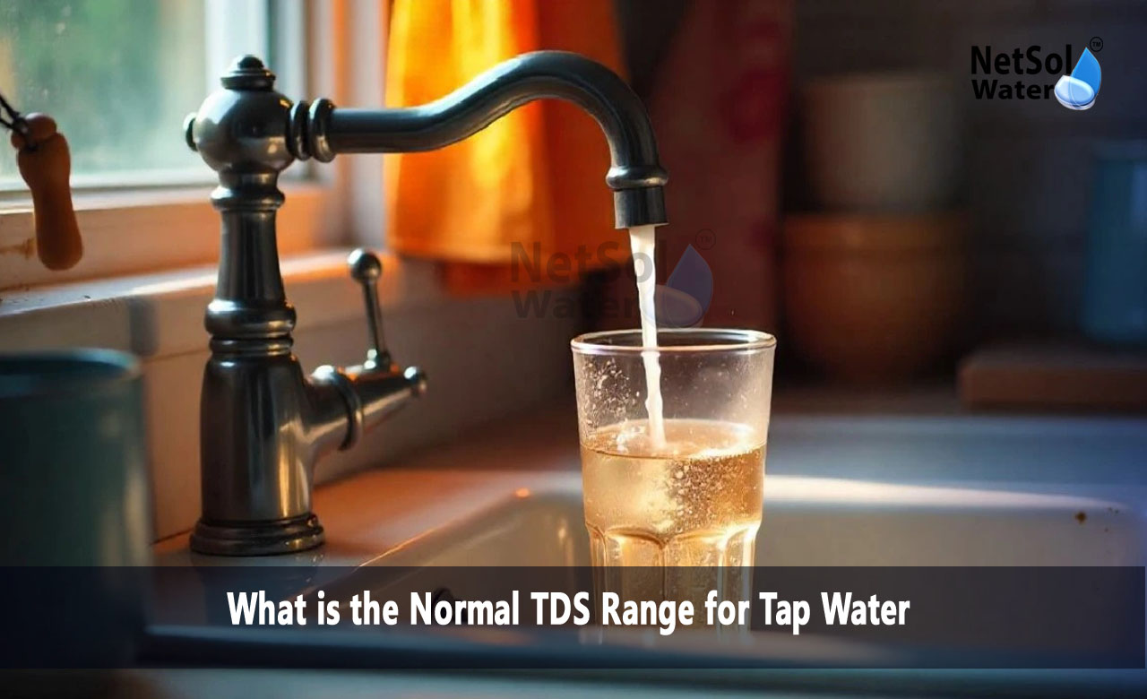 What is a safe TDS level in tap water, What is the correct TDS for drinking water, What is the Normal TDS Range for Tap Water