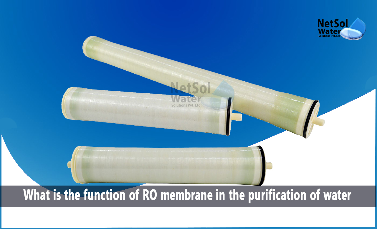 What is the function of RO membrane in water purification, What does a membrane do in RO